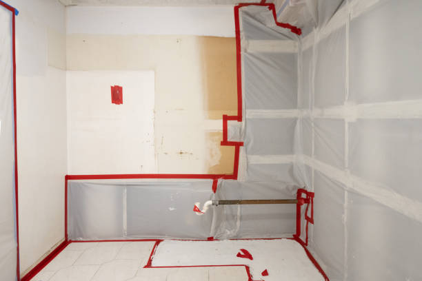Best Water Damage & Mold Remediation  in Marbury, AL