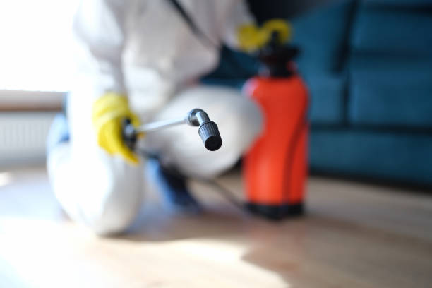 Best Indoor Air Quality Assessment  in Marbury, AL