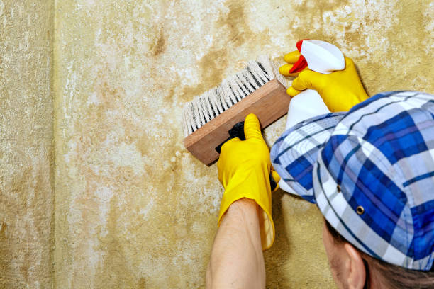 Best Airborne Mold Testing  in Marbury, AL