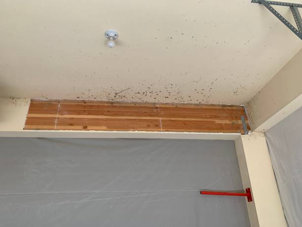 Best HVAC Mold Inspection and Cleaning  in Marbury, AL